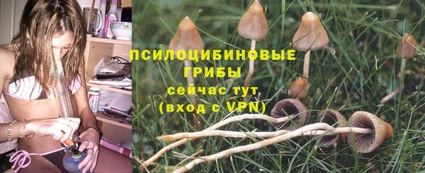 прущие крисы Осташков