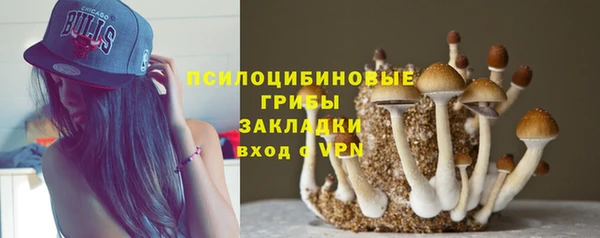 прущие крисы Осташков