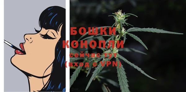 индика Остров