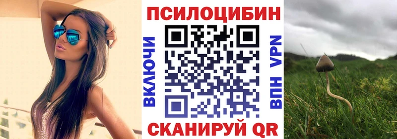 Галлюциногенные грибы Psilocybine cubensis Арск